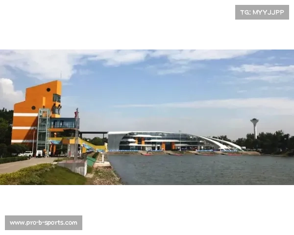 青少年赛事积分制改革能否缓解功利主义倾向 河南锦标赛引发广泛争议